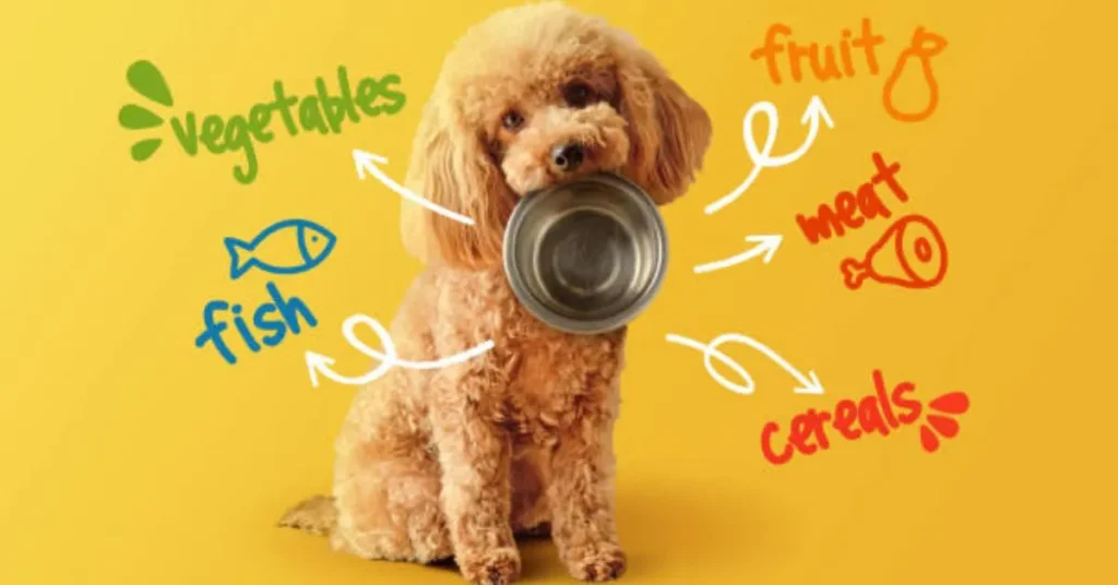 balance diet for dogs